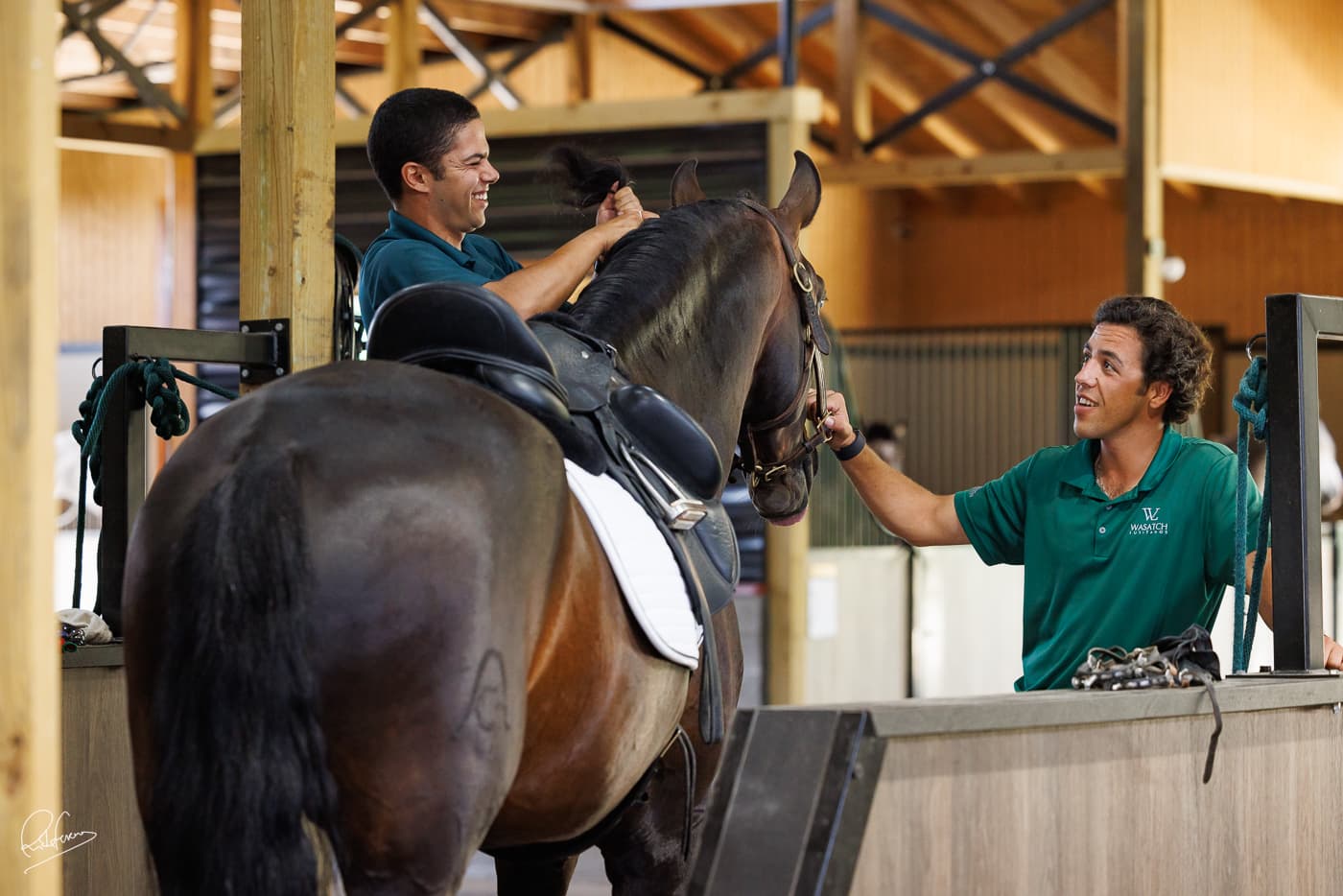 Working with a Lusitano in the stables